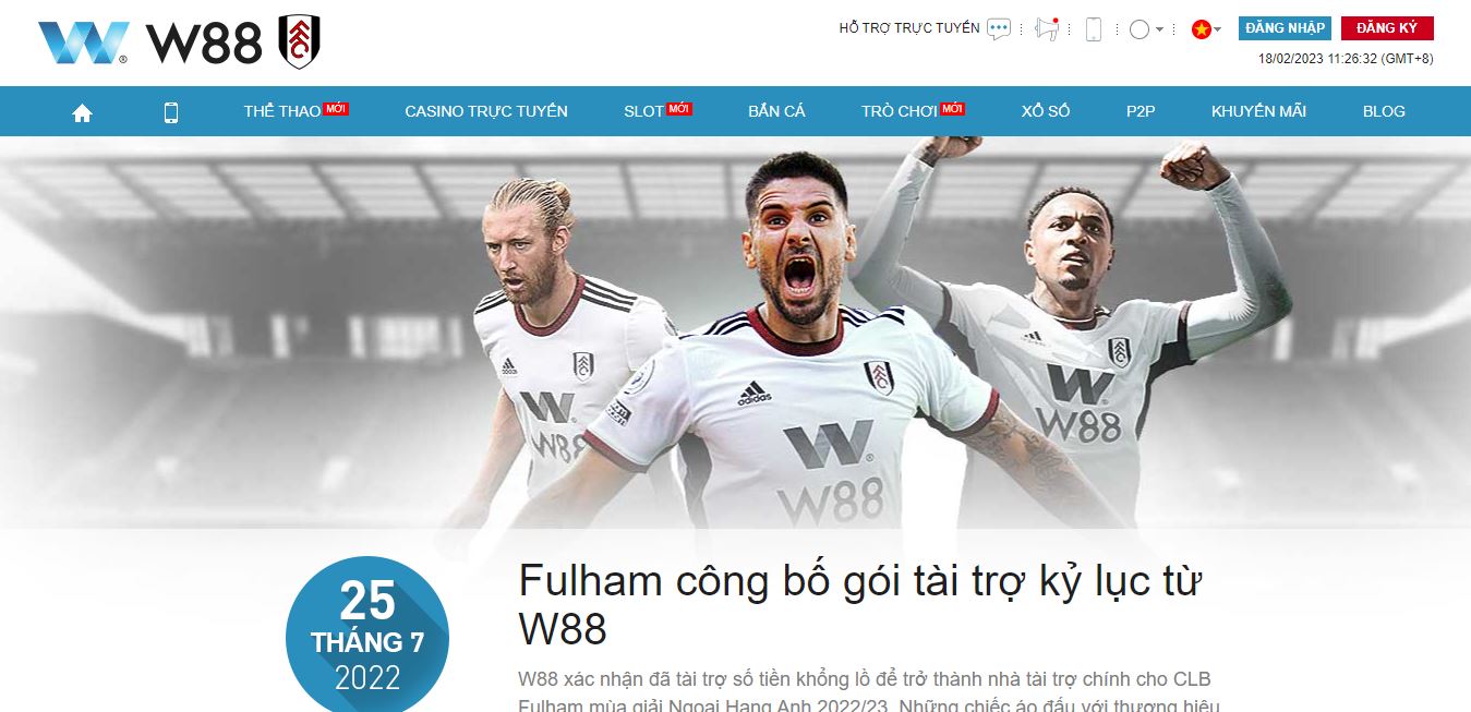 Các hoạt động tài trợ