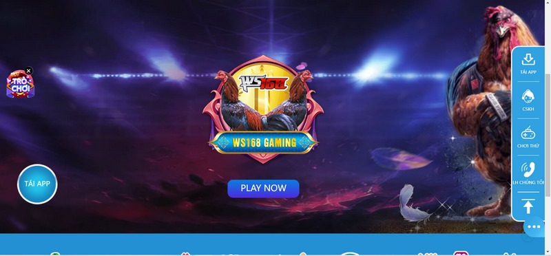 Đá gà siêu kịch tính với những trận đấu hàng đầu hiện nay